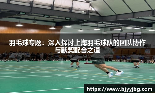 羽毛球专题：深入探讨上海羽毛球队的团队协作与默契配合之道